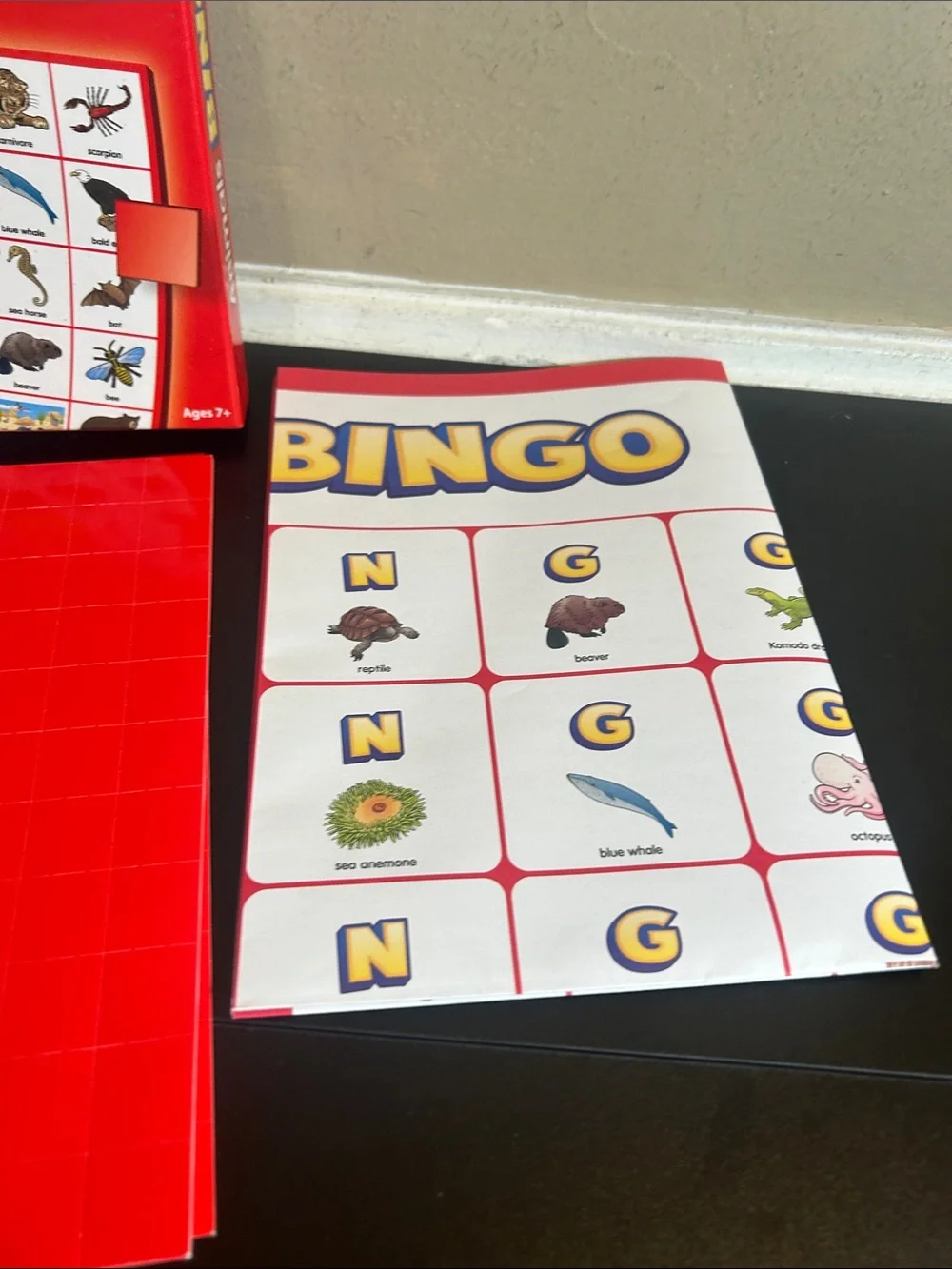 Lakeshore Learning Animals Bingo Game